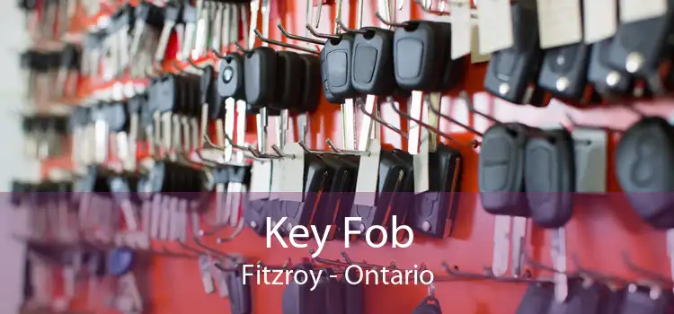 Key Fob Fitzroy - Ontario