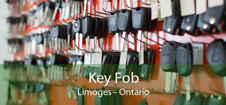Key Fob Limoges - Ontario