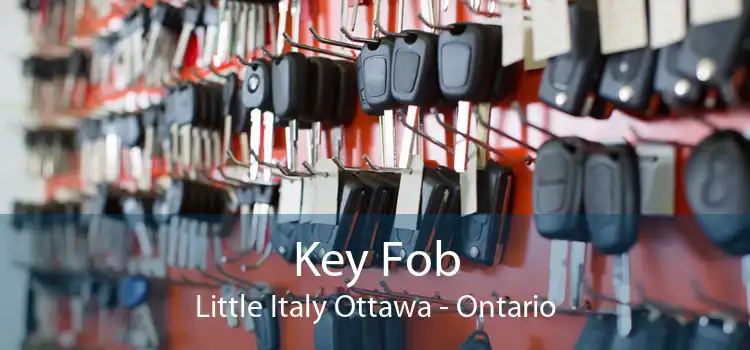 Key Fob Little Italy Ottawa - Ontario