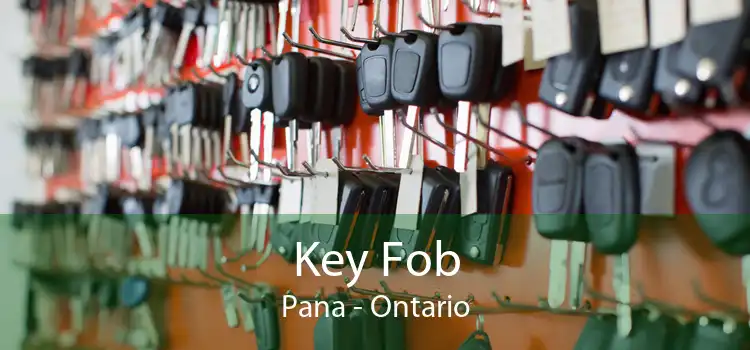 Key Fob Pana - Ontario
