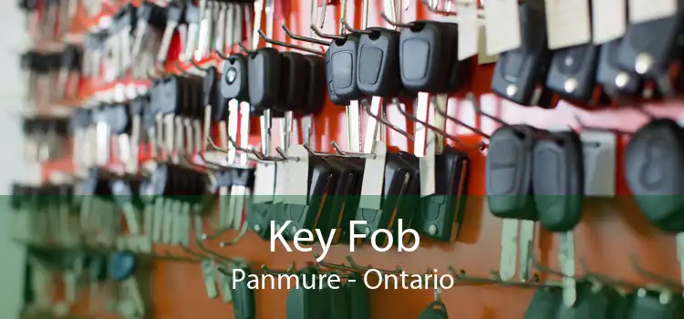 Key Fob Panmure - Ontario