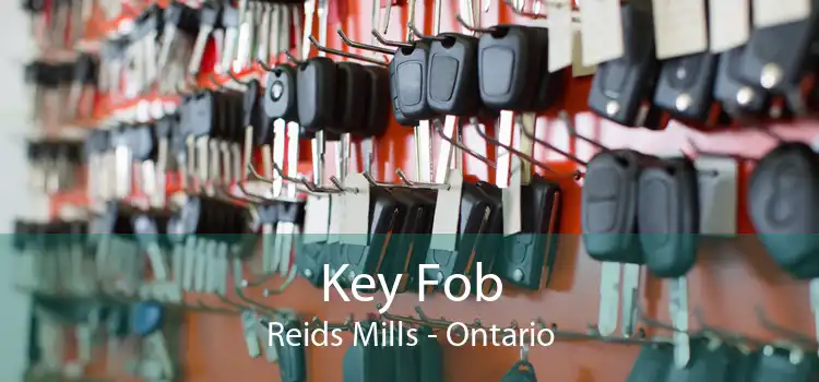 Key Fob Reids Mills - Ontario