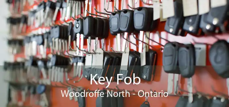 Key Fob Woodroffe North - Ontario