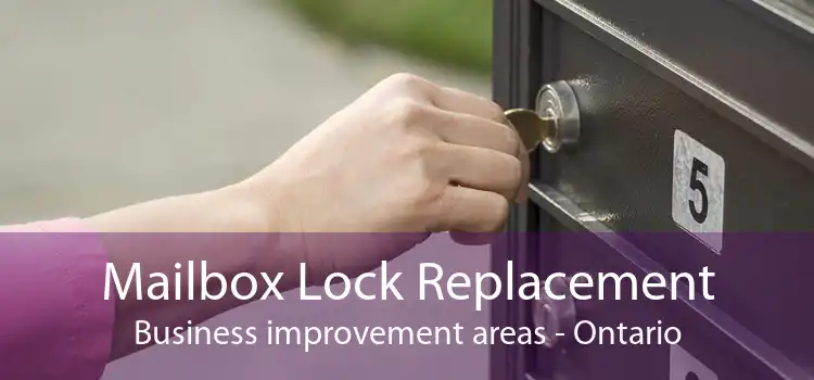 Mailbox Lock Replacement Business improvement areas - Ontario