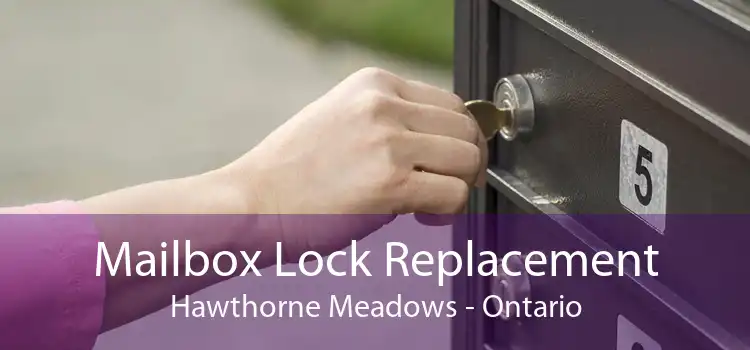 Mailbox Lock Replacement Hawthorne Meadows - Ontario