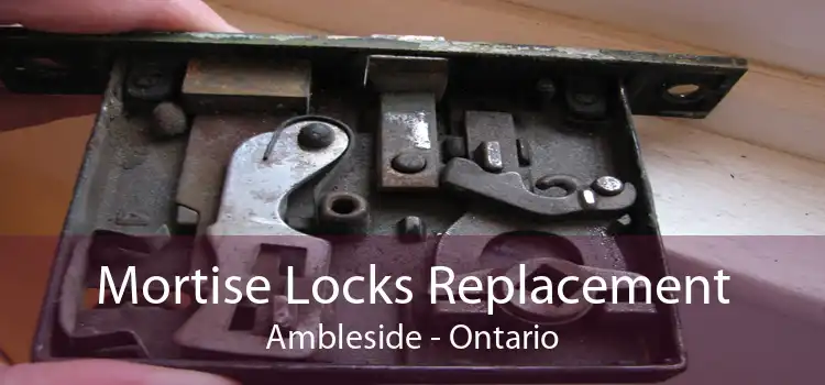 Mortise Locks Replacement Ambleside - Ontario