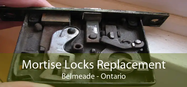 Mortise Locks Replacement Belmeade - Ontario