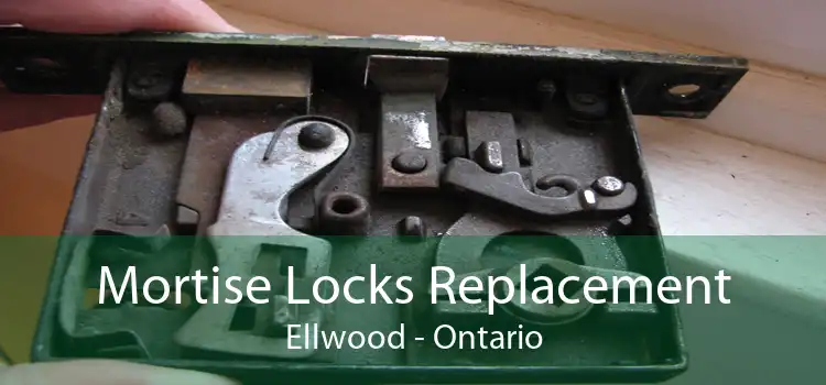Mortise Locks Replacement Ellwood - Ontario