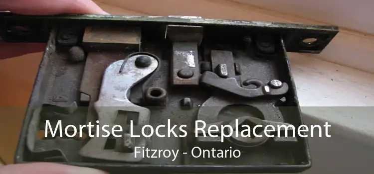 Mortise Locks Replacement Fitzroy - Ontario