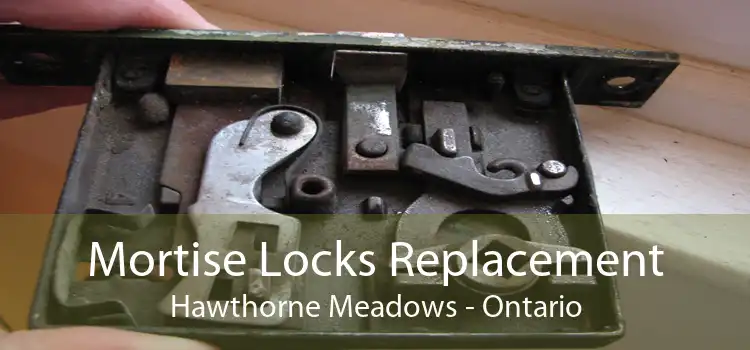 Mortise Locks Replacement Hawthorne Meadows - Ontario