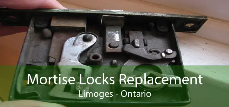 Mortise Locks Replacement Limoges - Ontario