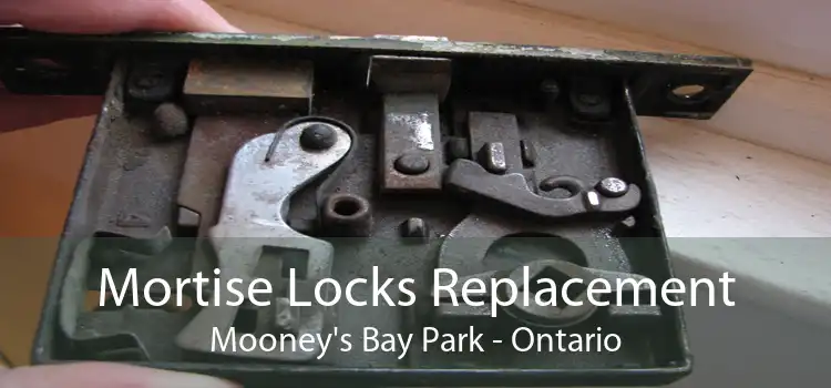 Mortise Locks Replacement Mooney's Bay Park - Ontario