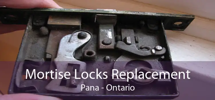 Mortise Locks Replacement Pana - Ontario