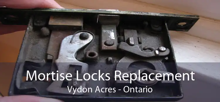 Mortise Locks Replacement Vydon Acres - Ontario