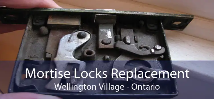 Mortise Locks Replacement Wellington Village - Ontario