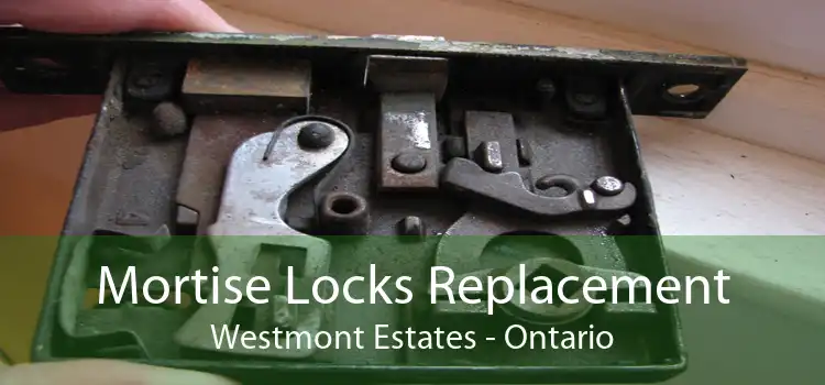 Mortise Locks Replacement Westmont Estates - Ontario