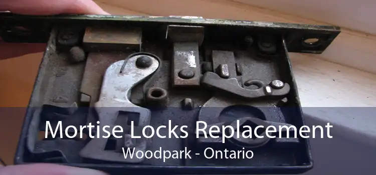 Mortise Locks Replacement Woodpark - Ontario