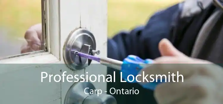 Professional Locksmith Carp - Ontario