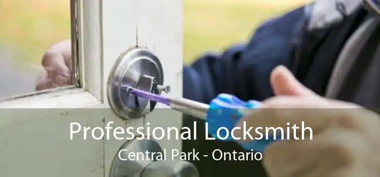 Professional Locksmith Central Park - Ontario