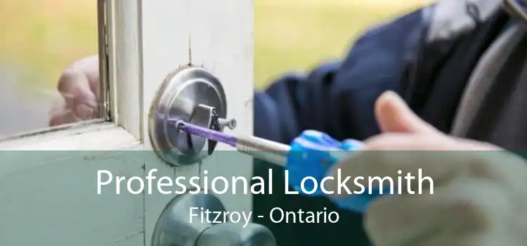 Professional Locksmith Fitzroy - Ontario