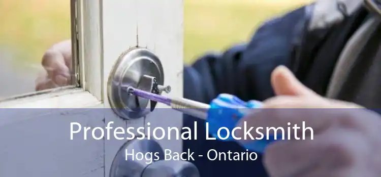 Professional Locksmith Hogs Back - Ontario
