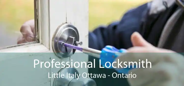 Professional Locksmith Little Italy Ottawa - Ontario