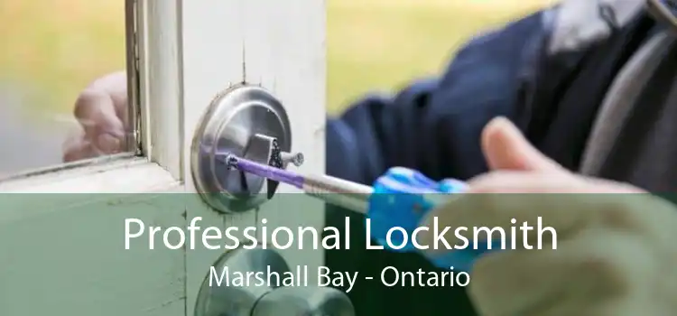 Professional Locksmith Marshall Bay - Ontario