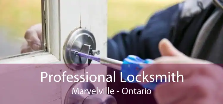 Professional Locksmith Marvelville - Ontario