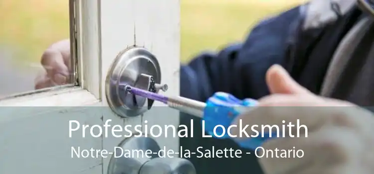 Professional Locksmith Notre-Dame-de-la-Salette - Ontario