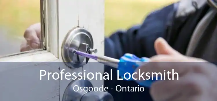 Professional Locksmith Osgoode - Ontario