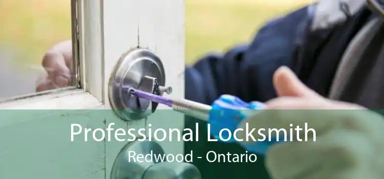 Professional Locksmith Redwood - Ontario