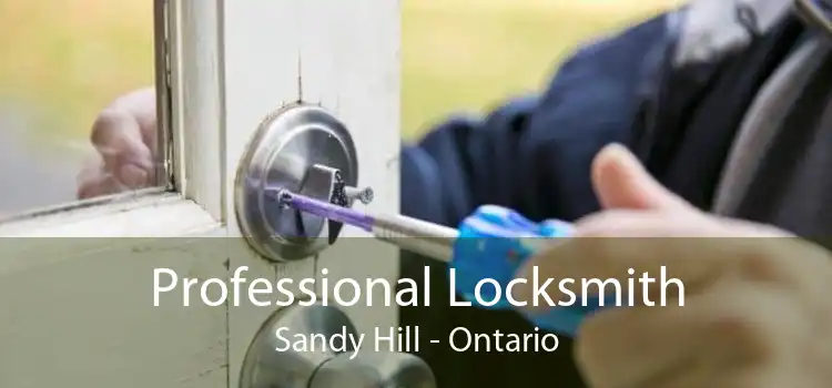 Professional Locksmith Sandy Hill - Ontario