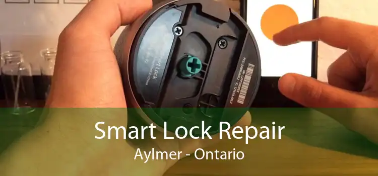 Smart Lock Repair Aylmer - Ontario