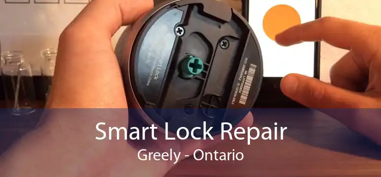 Smart Lock Repair Greely - Ontario