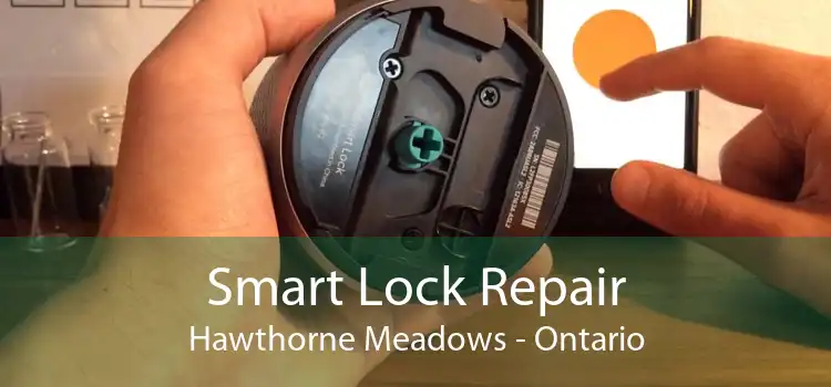 Smart Lock Repair Hawthorne Meadows - Ontario
