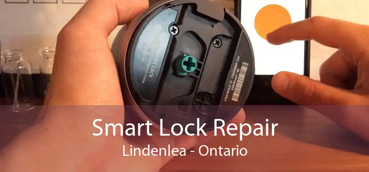 Smart Lock Repair Lindenlea - Ontario