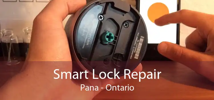 Smart Lock Repair Pana - Ontario