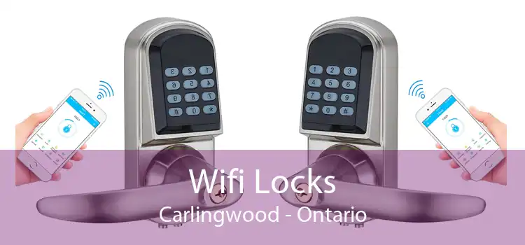 Wifi Locks Carlingwood - Ontario
