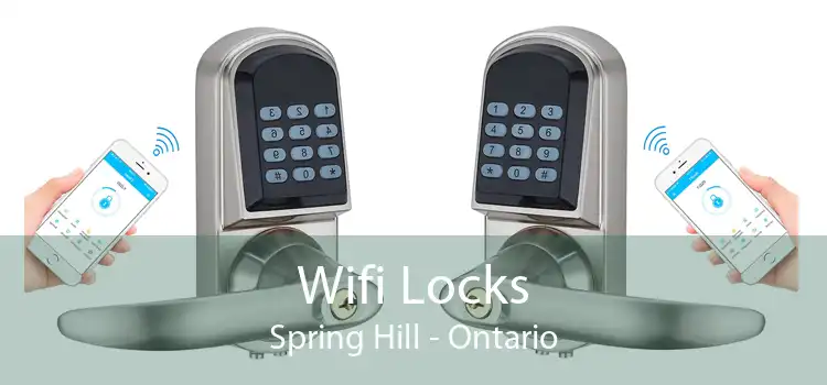 Wifi Locks Spring Hill - Ontario